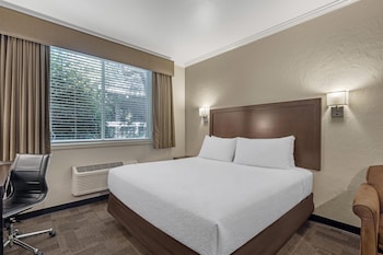 Standard Room, 1 King Bed, Accessible, Refrigerator & Microwave (with Sofabed)