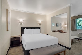 Suite, 1 Queen Bed, Non Smoking, Refrigerator & Microwave (with Sofabed)