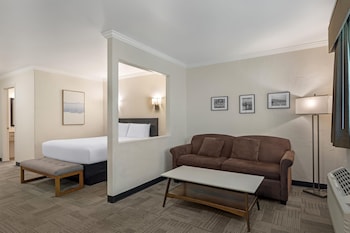 Suite, 1 Queen Bed, Non Smoking, Refrigerator & Microwave (with Sofabed)