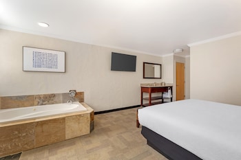 Suite, 1 King Bed, Non Smoking, Kitchen (with Sofabed, Full Kitchen)