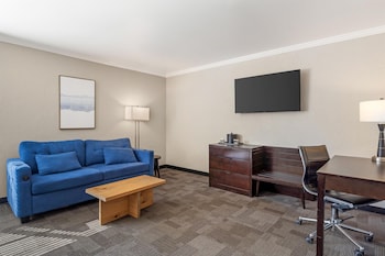 Standard Room, Multiple Beds, Non Smoking, Refrigerator & Microwave (with Sofabed)