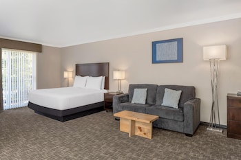Standard Room, 1 King Bed, Non Smoking, Balcony (with Sofabed)