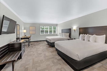Standard Room, 2 Queen Beds, Non Smoking, Refrigerator & Microwave