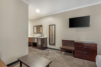 Standard Room, 1 King Bed, Accessible, Refrigerator & Microwave (with Sofabed)