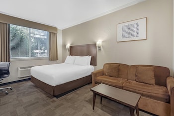 Standard Room, 1 King Bed, Accessible, Refrigerator & Microwave (with Sofabed)