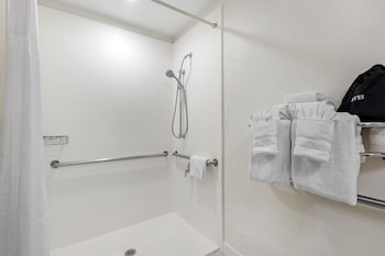 Standard Room, 1 King Bed, Accessible, Refrigerator & Microwave (with Sofabed)