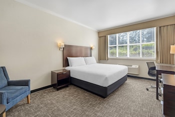 Standard Room, 1 King Bed, Accessible, Refrigerator & Microwave