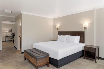 Suite, 1 King Bed, Non Smoking, Kitchen (with Sofabed, Full Kitchen)