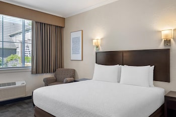 Standard Room, 1 King Bed, Non Smoking, Refrigerator & Microwave