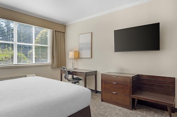 Standard Room, 1 King Bed, Accessible, Refrigerator & Microwave