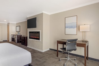 Standard Room, 1 King Bed, Non Smoking, Balcony (with Sofabed)