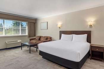 Suite, 1 King Bed, Non Smoking, Refrigerator & Microwave (with Sofabed)