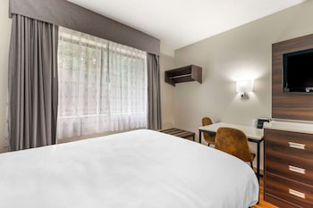 Room, 2 Double Beds, Non Smoking