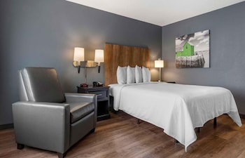 Studio, 1 Queen Bed, Accessible, Non Smoking