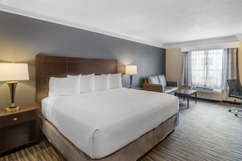 Standard Room, 1 King Bed, Non Smoking, Refrigerator & Microwave