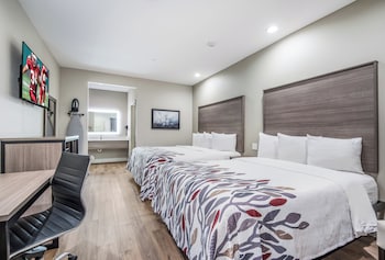 Deluxe Room, 2 Queen Beds, Smoking