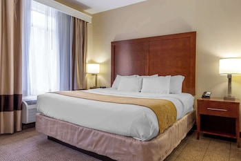 Suite, 1 King Bed with Sofa bed, Non Smoking (Upgrade)