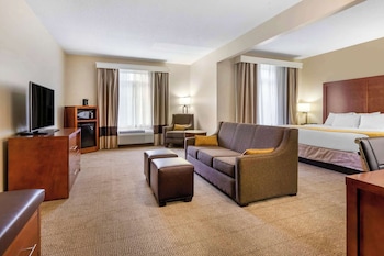 Suite, 1 King Bed with Sofa bed, Non Smoking (Upgrade)