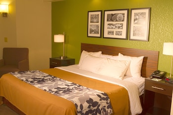 Standard Room, 1 King Bed, Non Smoking