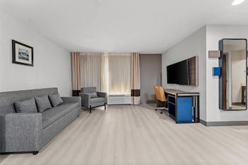 Suite, 1 King Bed with Sofa bed, Non Smoking