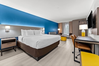 Suite, 1 King Bed with Sofa bed