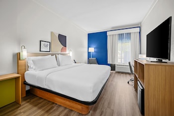 Room, 1 King Bed