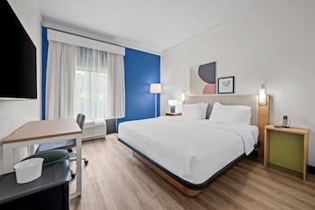 Room, 1 King Bed, Mobility Accessible (Roll-In Shower)