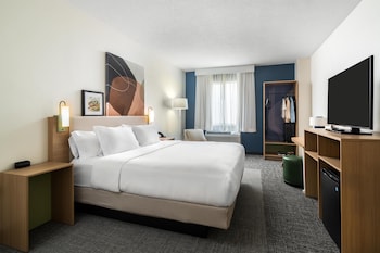 Room, 1 King Bed, Mobility Accessible, Bathtub