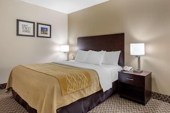 Room, 1 King Bed with Sofa bed, Accessible, Non Smoking