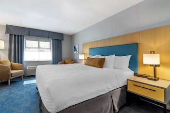 Business Room, 1 King Bed, Non Smoking