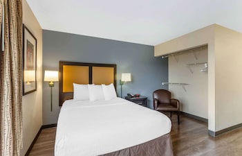 Studio, 1 Queen Bed, Non Smoking