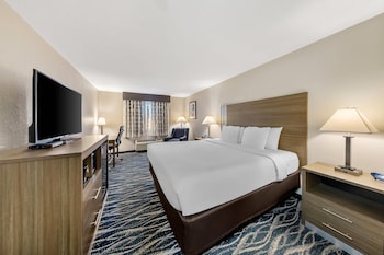 Standard Room, 1 King Bed, Non Smoking
