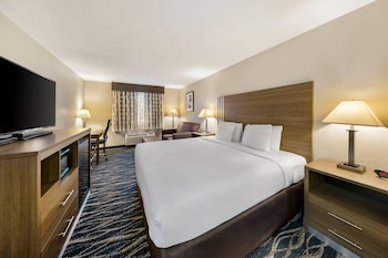 Room, 1 King Bed with Sofa bed, Non Smoking