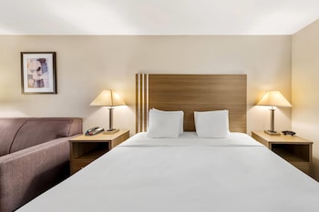 Room, 1 King Bed with Sofa bed, Non Smoking