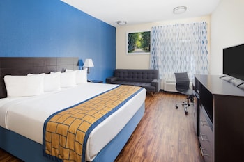 Suite, 1 King Bed, Non Smoking (One-Bedroom)