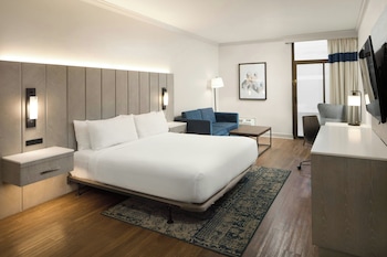 Room, 1 King Bed